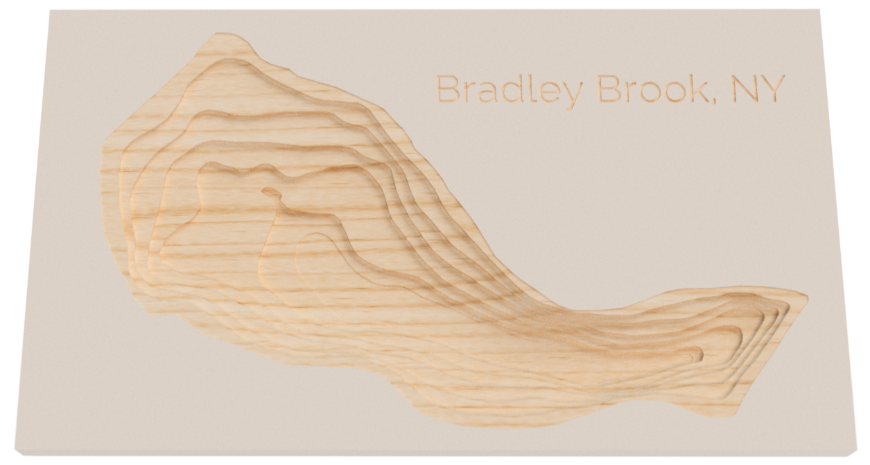 Bradley Brook depth map
