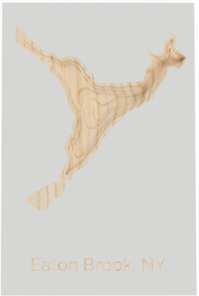 Eaton Brook, NY depth map