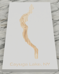 Cayuga Lake depth map